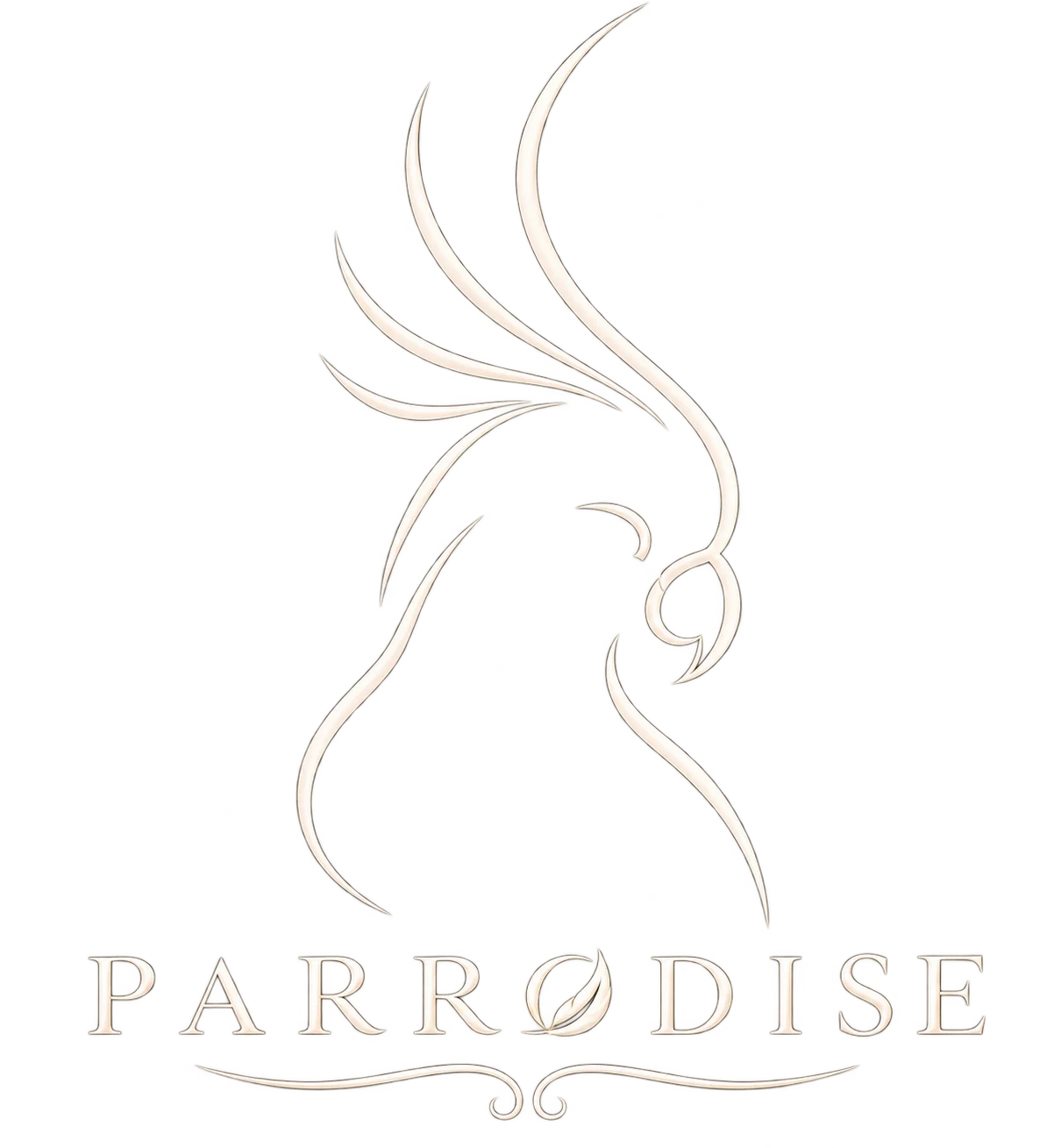 Vogels bij Parrodise